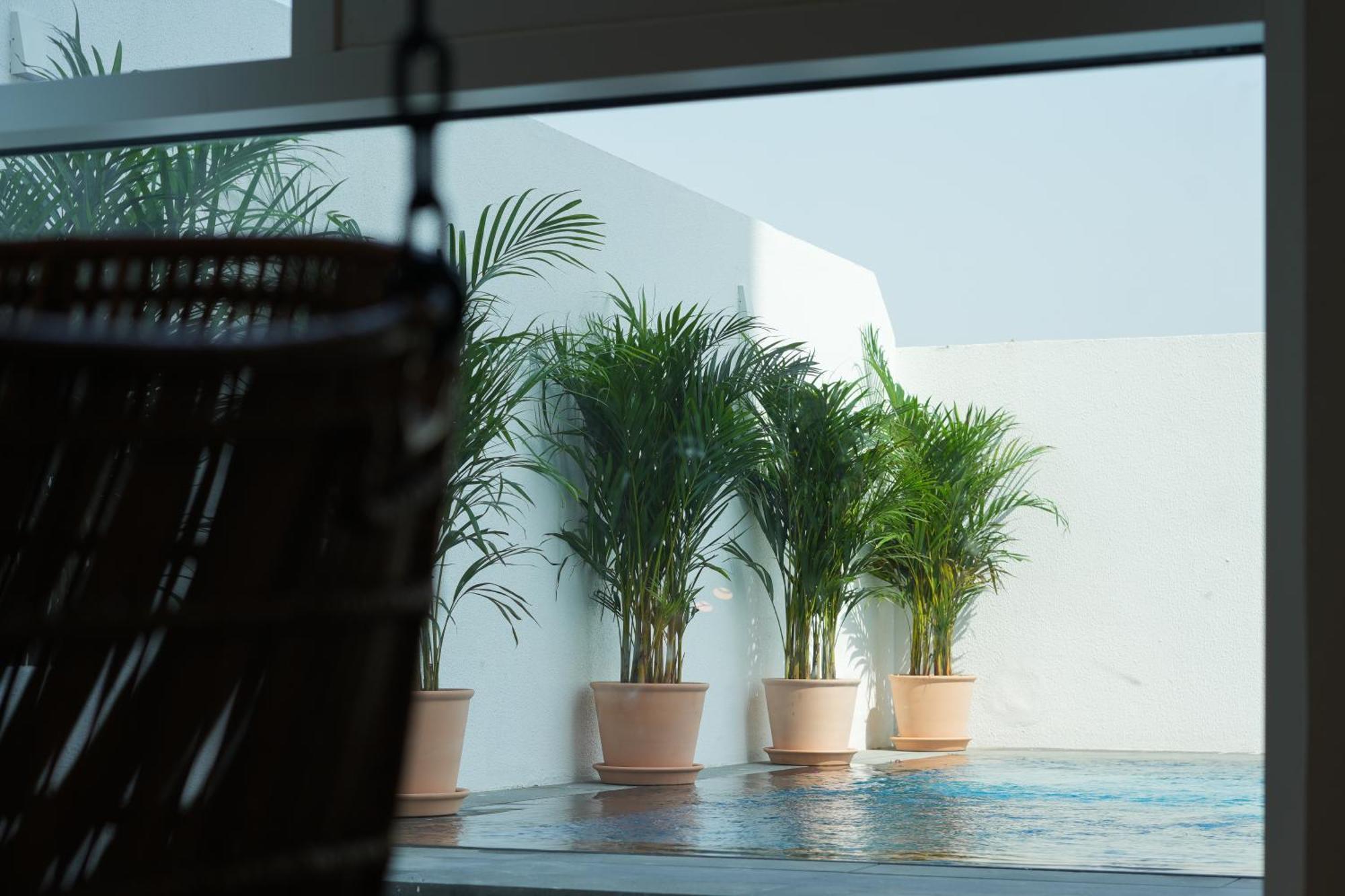 Shada Hotel Jumeirah Garden Dubaj Exteriér fotografie